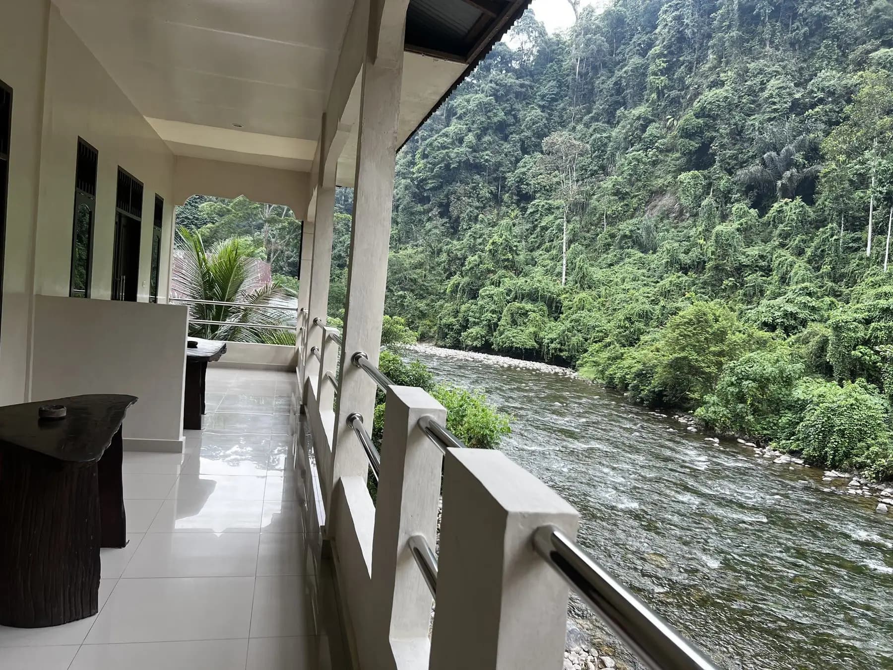 Meet at Bukit Lawang in the Eco Trails story